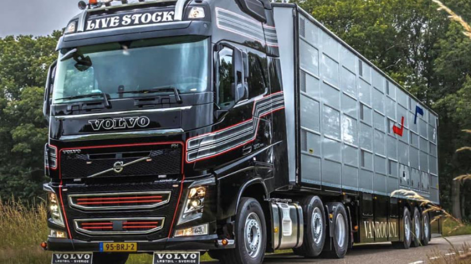 Van Rooi Livestock Lieshout afbeelding 2 Van Rooi Livestock Lieshout afbeelding 2